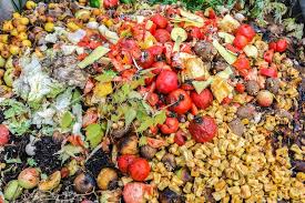 Despite Hunger, Nigeria Named Africa’s Top Food Waster