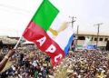 APC Begins Primaries May 15, Pegs Presidential Nomination Form at N100m