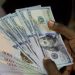 Naira Slumps to 17‑Day Low as FX Liquidity Dries Up