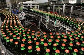 Nigerian Breweries Posts N55.95bn Profit in Q1 2026