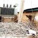Kaduna Communities Lament 16-Month Blackout, Faulty Transformers