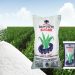 Dangote Sugar’s N486 Billion Rights Issue Signals Critical Recapitalization Drive