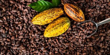 Orange Cocoa: Nigeria’s Sunbeth Global Concepts Launches 2050 Sustainability Drive