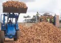 Nigeria Can Reverse 350m Litres Annual Ethanol Imports, Report Finds