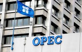 Nigeria’s Oil Wealth Masks Persistent Structural Gaps, OPEC Data Shows