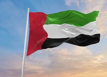 UAE OPEC Exit Reports Roil Oil Markets: What It Means