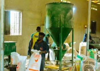 Zichis Targets N540m Monthly Revenue From Expanded Animal Feed Output