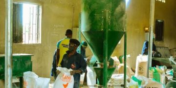 Zichis Targets N540m Monthly Revenue From Expanded Animal Feed Output