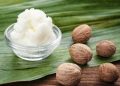 Nigeria’s Shea Policy Shift Wins Global Recognition, Boosts Export Prospects