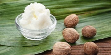 Nigeria’s Shea Policy Shift Wins Global Recognition, Boosts Export Prospects