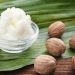 Nigeria’s Shea Policy Shift Wins Global Recognition, Boosts Export Prospects
