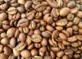Nigerian Agribusiness Secures $60 Million Liberia Coffee Supply Deal