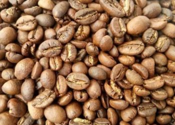 Nigerian Agribusiness Secures $60 Million Liberia Coffee Supply Deal