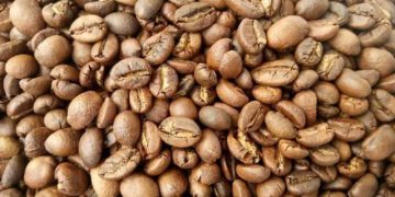 Nigerian Agribusiness Secures $60 Million Liberia Coffee Supply Deal