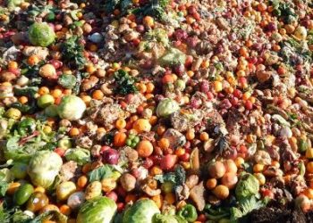 Nigeria Loses ₦5 Trillion Annually to Food Waste Amid Logistics Crisis