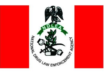 NDLEA Seizes ₦12.3bn Canadian Cannabis at Lagos Port, Busts Drug Syndicate