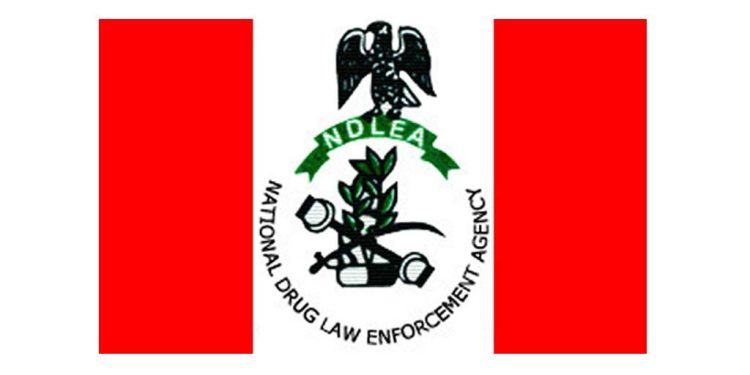 NDLEA Seizes ₦12.3bn Canadian Cannabis at Lagos Port, Busts Drug Syndicate