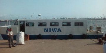 NIWA Warns Rapid Urbanisation Threatens Environmental Sustainability in Nigeria
