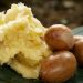 Nigerian Government Pushes Shea Processing to Boost Export Earnings