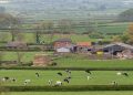 FG Targets 7,000 Jobs Through Nationwide Ranching Estates Programme