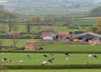 FG Targets 7,000 Jobs Through Nationwide Ranching Estates Programme