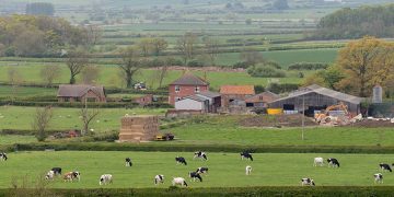 FG Targets 7,000 Jobs Through Nationwide Ranching Estates Programme