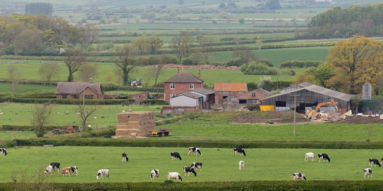 FG Targets 7,000 Jobs Through Nationwide Ranching Estates Programme