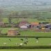 FG Targets 7,000 Jobs Through Nationwide Ranching Estates Programme