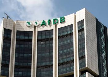 AfDB Flags Weak Private Sector Credit as Nigeria Seeks Growth