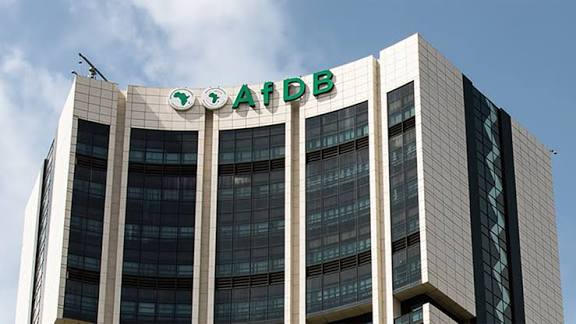 AfDB Flags Weak Private Sector Credit as Nigeria Seeks Growth