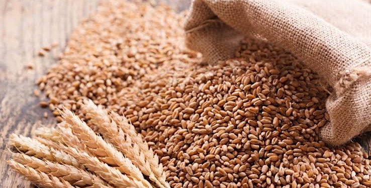 Wheat Production Ambitions Stall as AfDB Funds Remain Unreleased