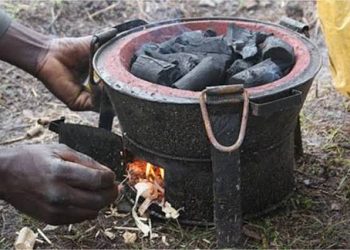 Gas Price Surge Pushes Abuja Households to Firewood, Charcoal