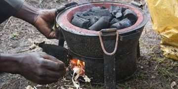Gas Price Surge Pushes Abuja Households to Firewood, Charcoal
