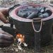 Gas Price Surge Pushes Abuja Households to Firewood, Charcoal