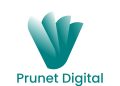 Prunet Digital Agency Wins Digital Creative Agency of the Year Award