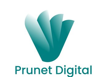 Prunet Digital Agency Wins Digital Creative Agency of the Year Award