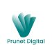 Prunet Digital Agency Wins Digital Creative Agency of the Year Award