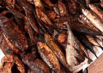 Smoked Fish Market Growth: Opportunities in Premium Seafood & Value-Added Processing