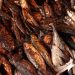 Smoked Fish Market Growth: Opportunities in Premium Seafood & Value-Added Processing