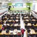 Airtel Africa, Tier-1 Banks Drive N834.67bn Gain on Nigerian Stock Exchange