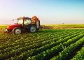 Nigeria Targets 500,000 Jobs with Agro-Industrial Processing Zones