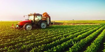 Nigeria Targets 500,000 Jobs with Agro-Industrial Processing Zones