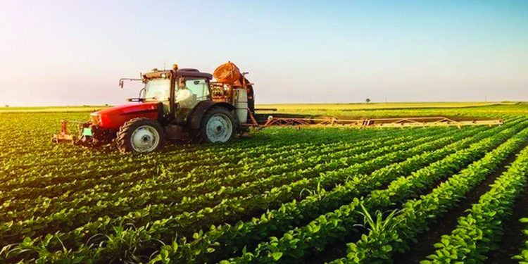 Nigeria Targets 500,000 Jobs with Agro-Industrial Processing Zones