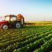 Nigeria Targets 500,000 Jobs with Agro-Industrial Processing Zones