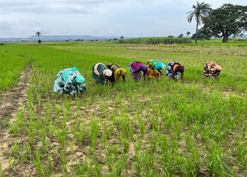 Agri-Food Start-ups Face Stricter Funding as Investors Tighten