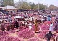 Nigeria-Ghana Onion Trade Dispute Reignites as Five Trucks Remain Stranded in Accra