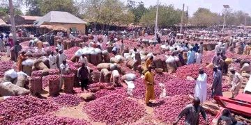 Nigeria-Ghana Onion Trade Dispute Reignites as Five Trucks Remain Stranded in Accra