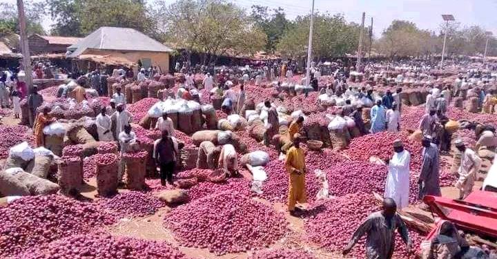 Nigeria-Ghana Onion Trade Dispute Reignites as Five Trucks Remain Stranded in Accra