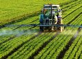 From Oil to Agriculture: How Nigeria Is Turning Tech-Savvy Youth Into Agribusiness Entrepreneurs