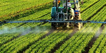From Oil to Agriculture: How Nigeria Is Turning Tech-Savvy Youth Into Agribusiness Entrepreneurs